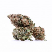 Orange Bud CBG